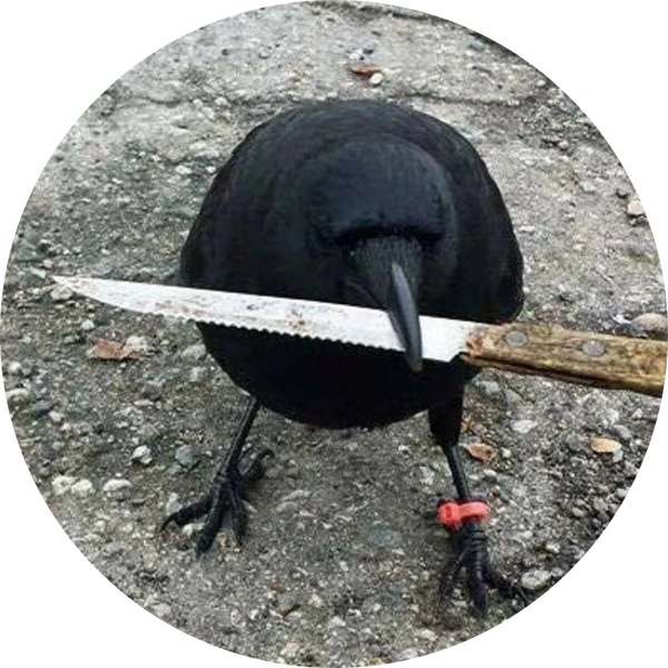 crow with knife